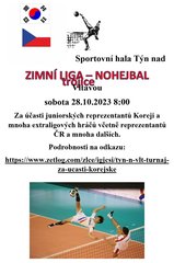 Mezinárodní utkání v rámci přípravy na MS žen a juniorů