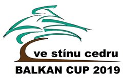 logo turnaje