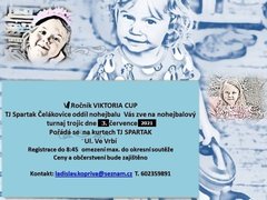 6. ročník nohejbalového turnaje trojic VIKTORIA CUP